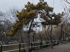 -黛秀湖公园