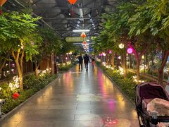 -南宫五洲植物乐园