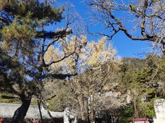 -潭柘寺景区