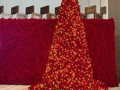 -万豪中餐厅·粤菜·北京粤财JW万豪酒店