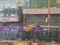 -鱼你相聚·河鲜馆(袁家岭店)