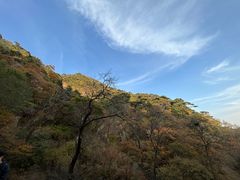 -泰山风景名胜区