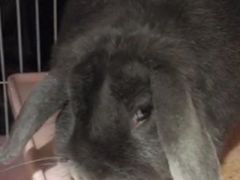 -将就吃农家特色土菜馆