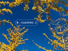 -永定河休闲森林公园