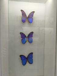 -酷嗒动物文化乐园(cutezoo西溪乐天城店)