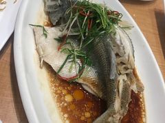 -周锦记广式餐厅