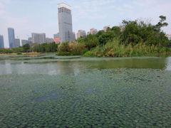 -艾溪湖湿地公园