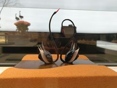 -BLACKSWAN黑天鹅(环球店)