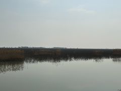 -泗洪洪泽湖湿地景区