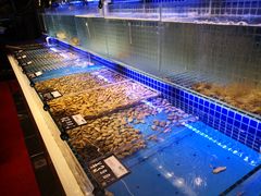 水产区-必点海鲜·鲅鱼水饺(鞍山西道店)