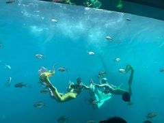 -瑞德姆美人鱼海底演艺主题餐厅(亚龙湾店)