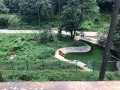 -贵州森林野生动物园