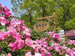 -嘉北郊野公园