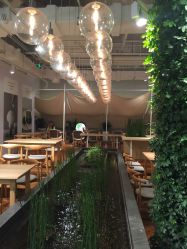 -悦诗风吟innisfree