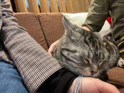 -幸运7纹身刺青Lucky7tattoo