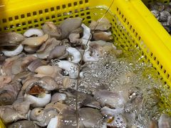 -都斛海鲜街