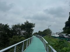 -南京老山国家森林公园