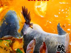-亮欢寨快活林 酸汤鱼(仁怀店)