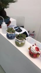 -JUVA欧华医美连锁