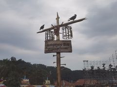 -重庆海昌加勒比海水世界