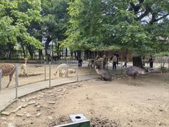 -南昌动物园