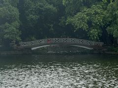 -荔湾湖公园