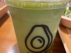 -油梨树 AVOCADO TREE(亮马桥店)