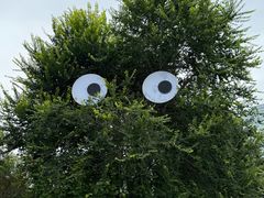 -恰八斗·猛火长沙菜(国贸店)