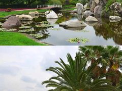 -西昌邛海湿地