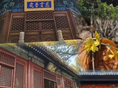 -潭柘寺景区