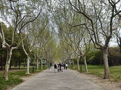 -东园小馆·早茶·淮扬小炒(宋夹城店)