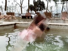 -三江森林温泉度假区
