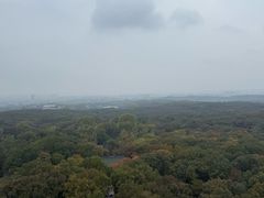 -南京东郊国宾馆