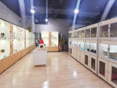 -十年猫舍·猫咪专门店(普陀店)