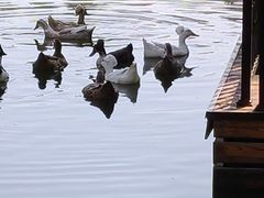 -王府井奥莱棋盘山小镇