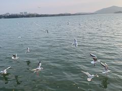 -蠡湖大桥公园