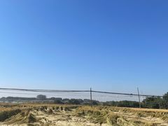 -莲花岛景区