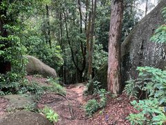 -火炉山森林公园