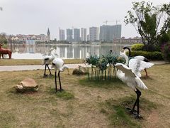 -美的鹭湖森林度假区
