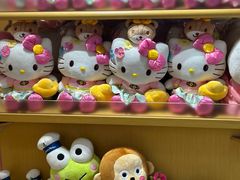 -安吉Hello Kitty乐园