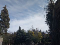 -彩色沙林风景区