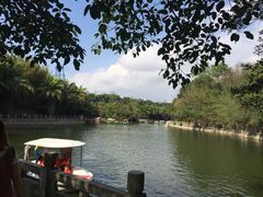 -广东茂名森林公园