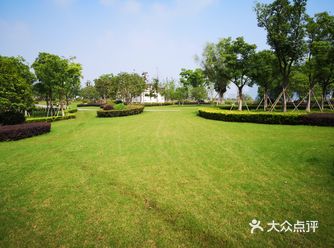杭州未来科技城，文二西路周边，西溪蓝海对面
