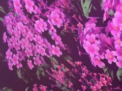 -三号码头罗氏虾小馆