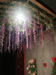 -Cocodemer 产后恢复中心(多伦路店)