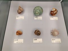 -天津古林古海岸遗迹博物馆