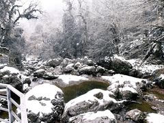 -龙苍沟森林公园