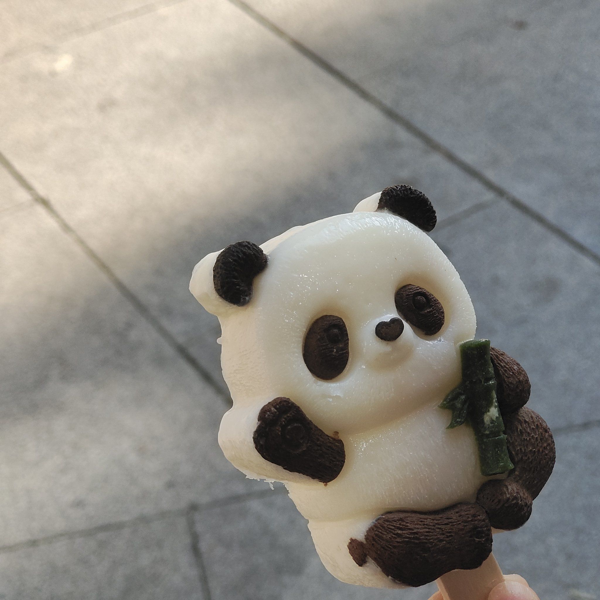 小熊家族新成员