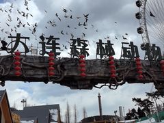 -大连森林动物园