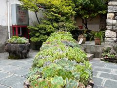 -寂照庵